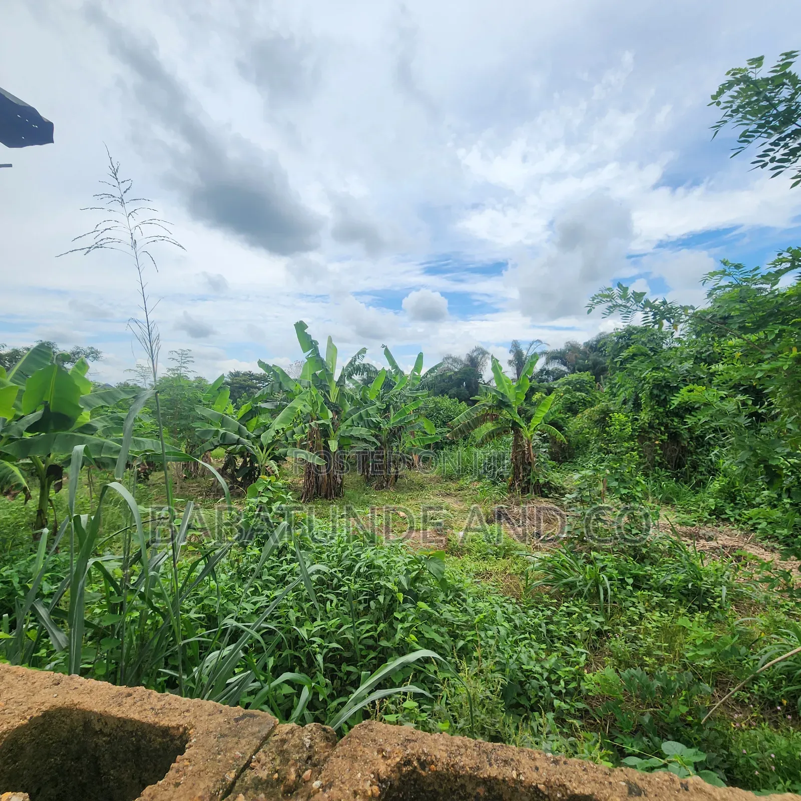 An Acre of Land With 4 Fish Ponds for Lease at Omi Adio Ibadan