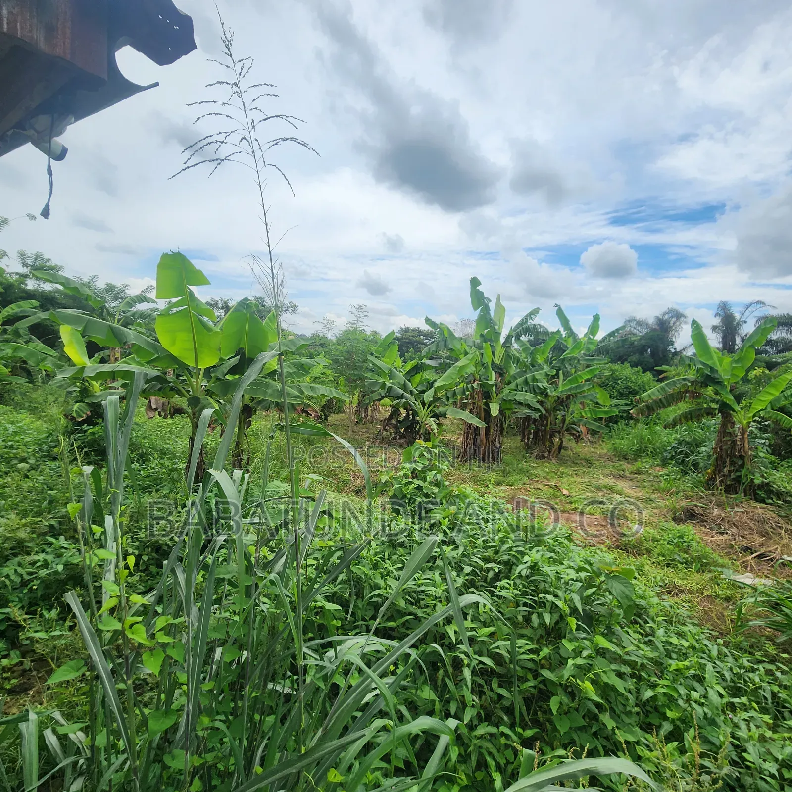 An Acre of Land With 4 Fish Ponds for Lease at Omi Adio Ibadan