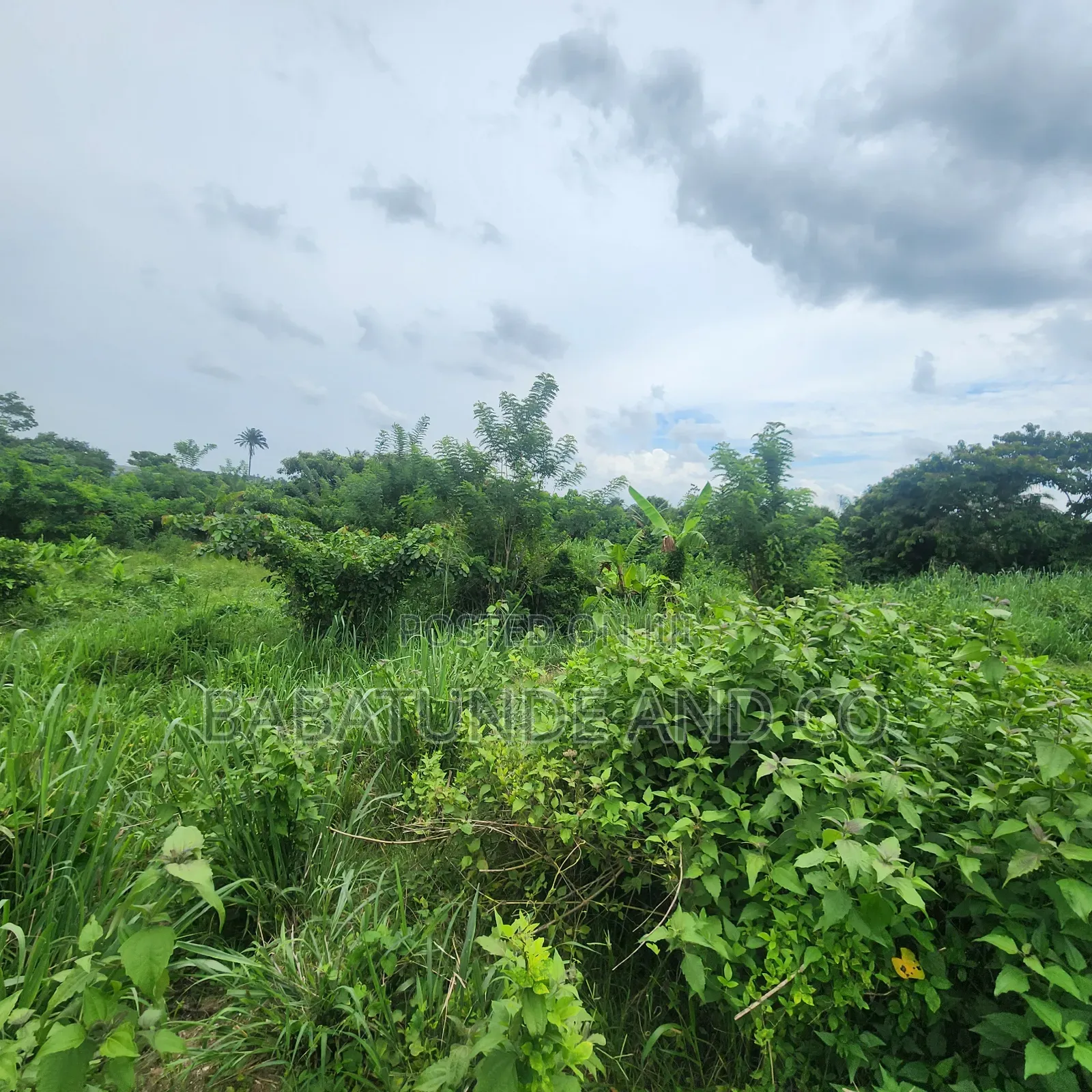 An Acre of Land With 4 Fish Ponds for Lease at Omi Adio Ibadan