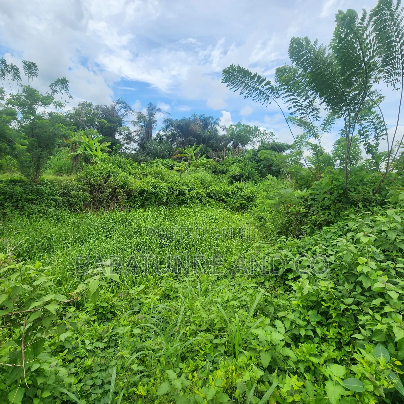 An Acre of Land With 4 Fish Ponds for Lease at Omi Adio Ibadan