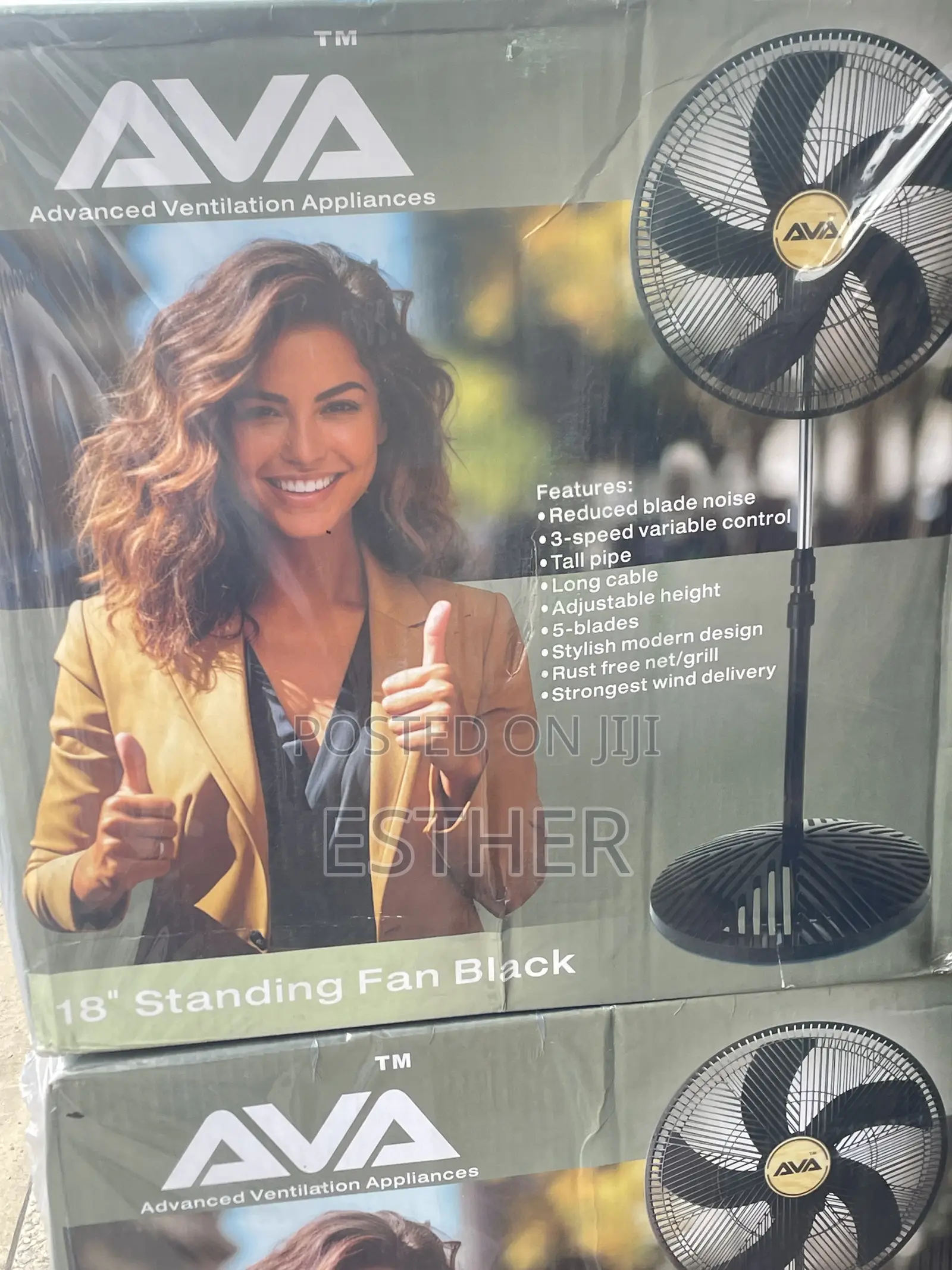 Standing Fan