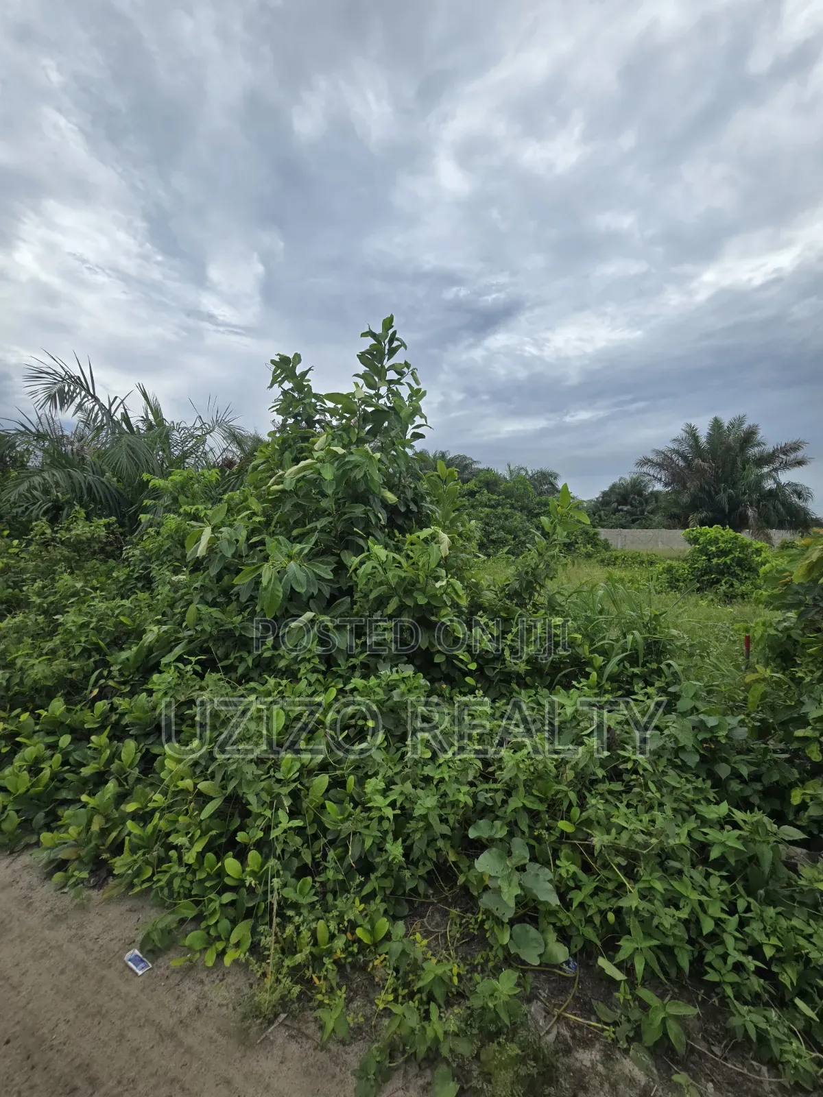 Land for Sale in Abijo Gra