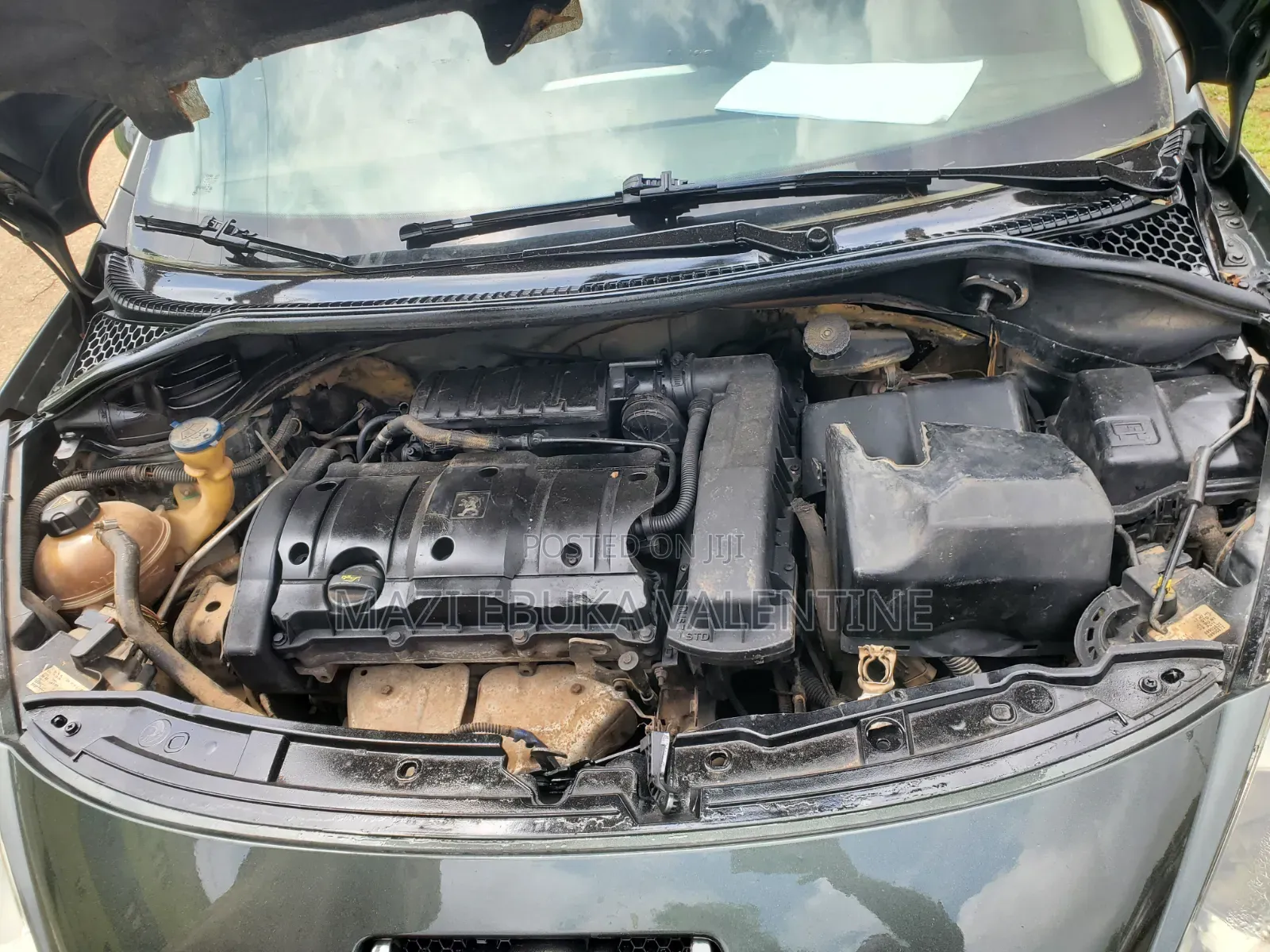 Peugeot 207 2005 Gray