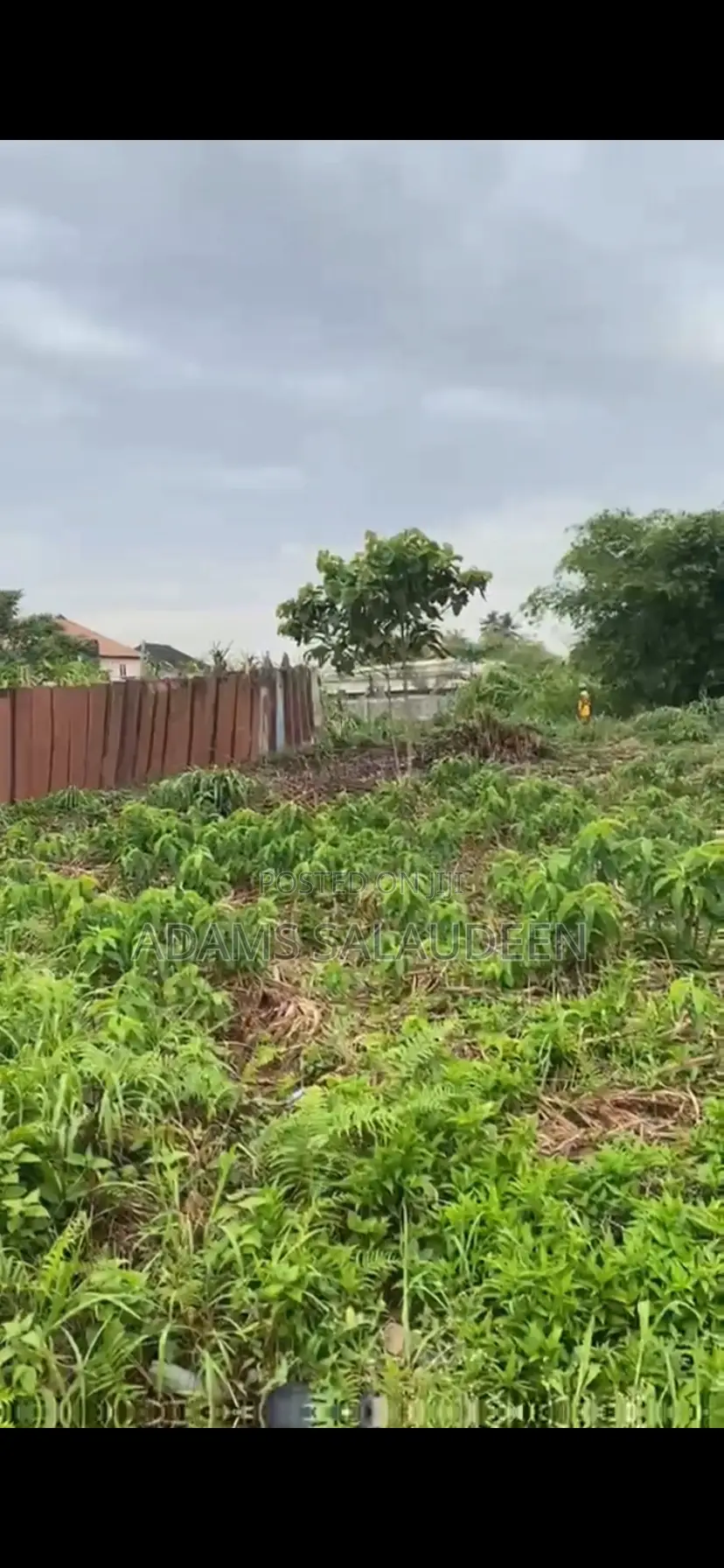 Virgin Half Plot of Land