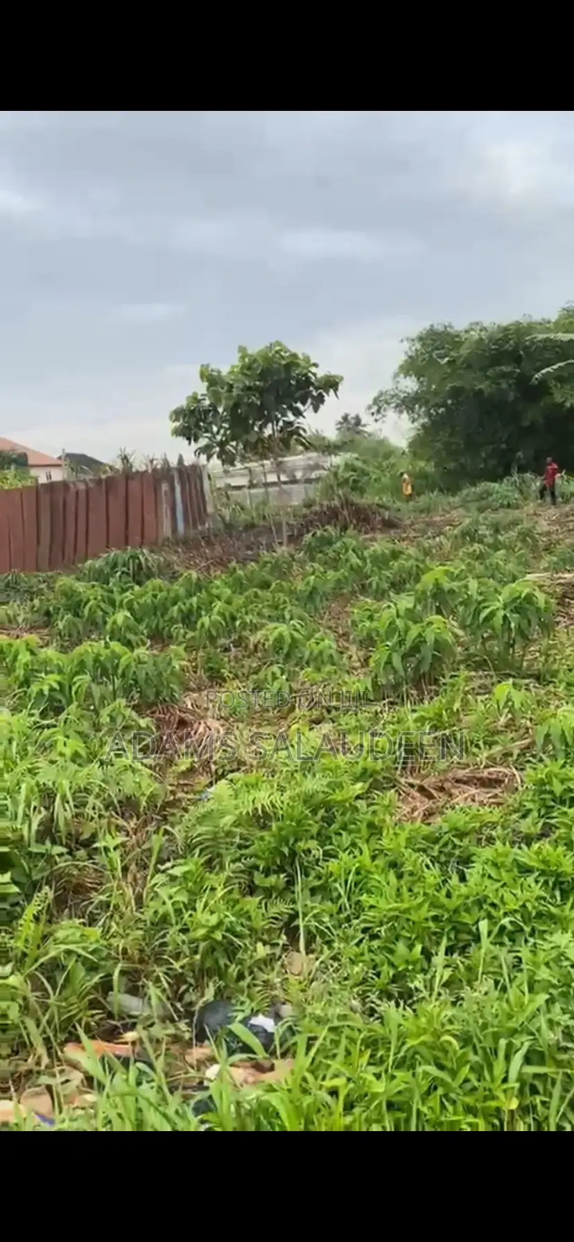 Virgin Half Plot of Land