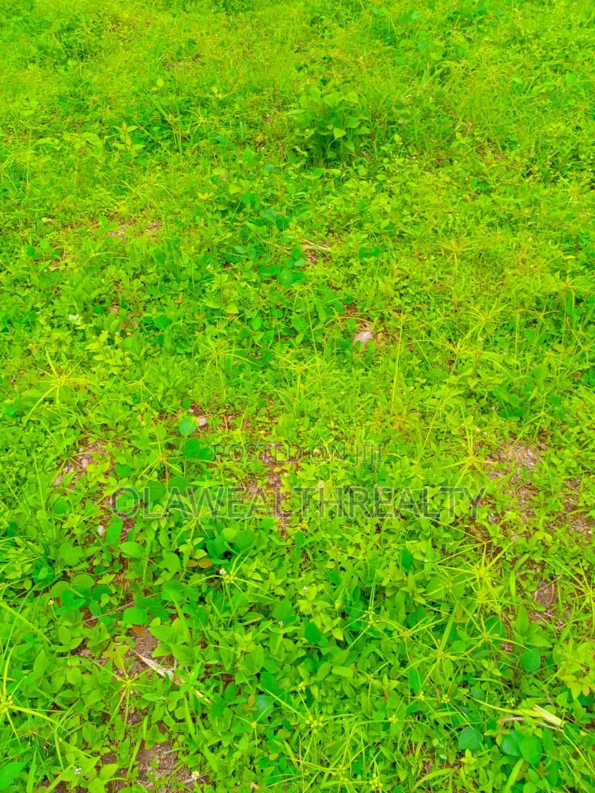 1,117sqm Residential Plot at Maitama 2