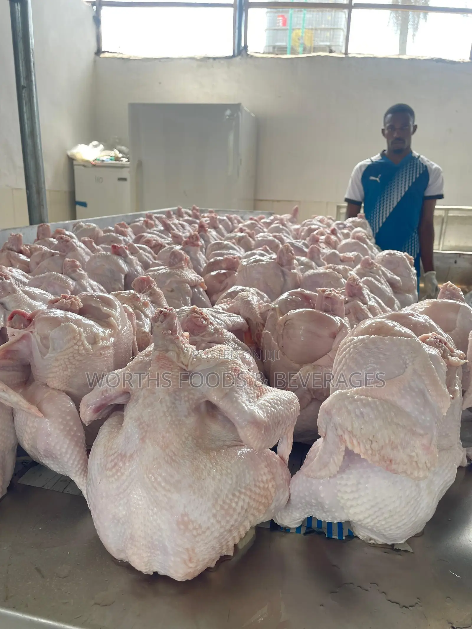 Farm Fresh Frozen Chicken For Sale