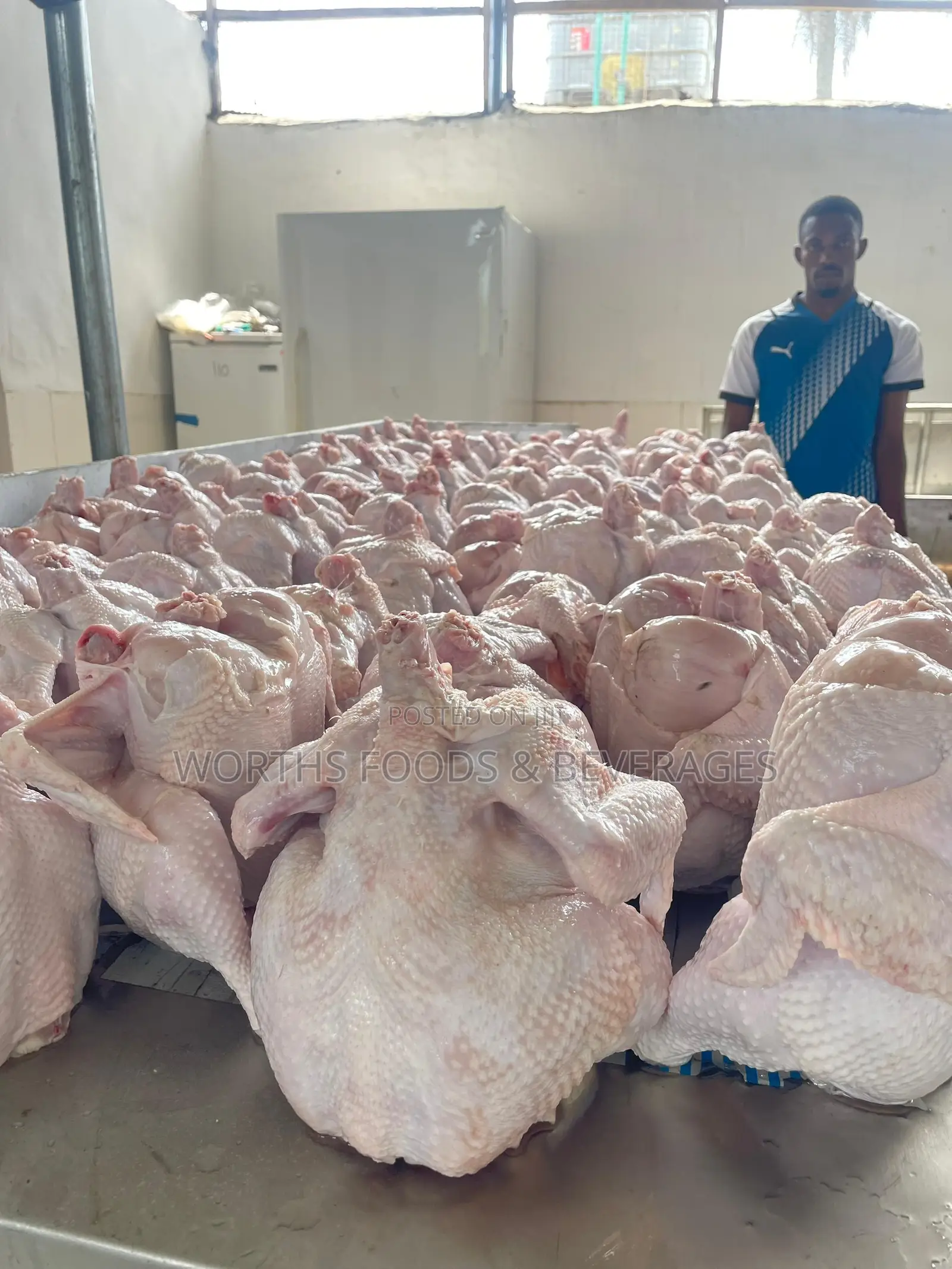 Farm Fresh Frozen Chicken For Sale