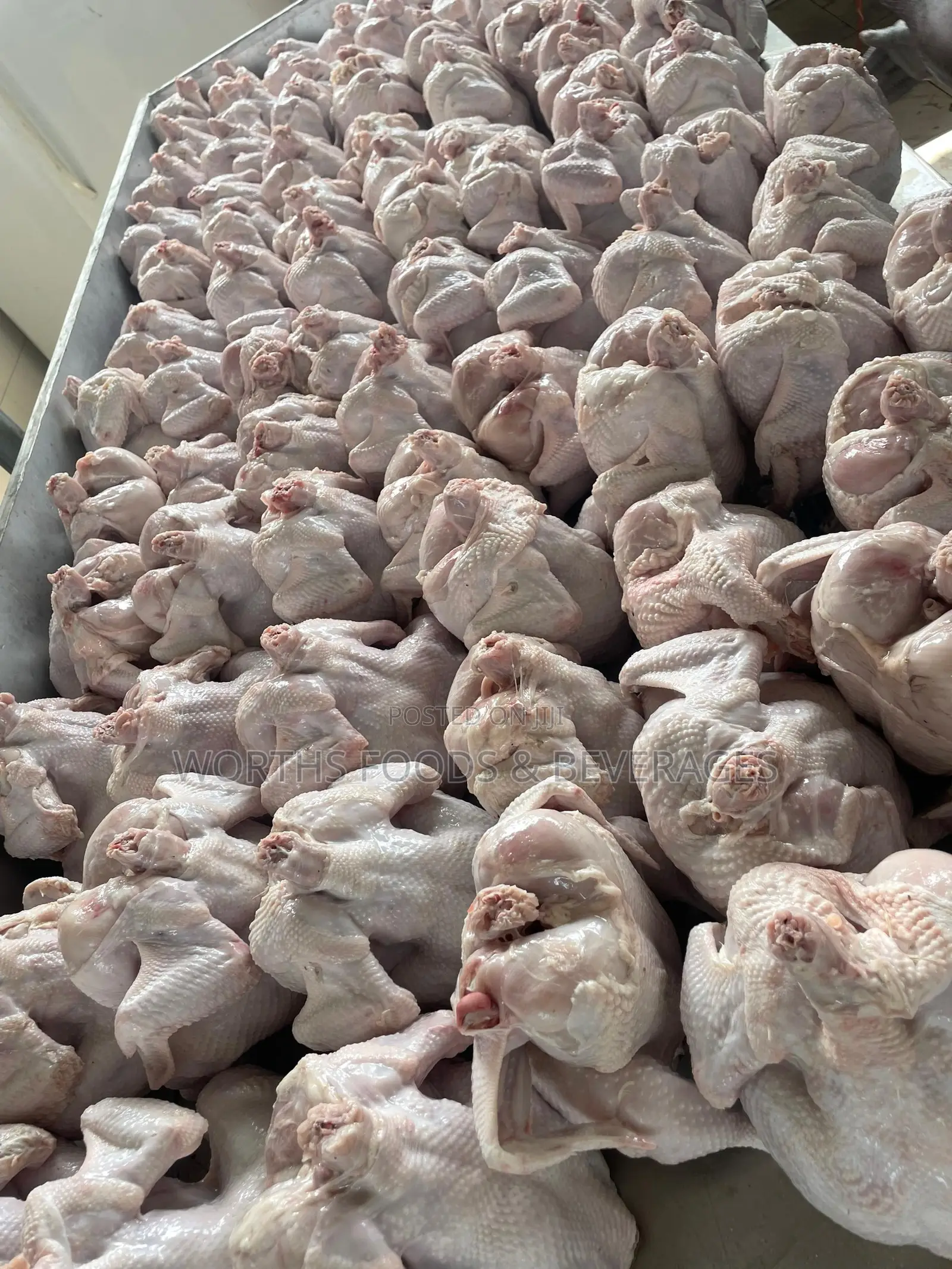 Farm Fresh Frozen Chicken For Sale