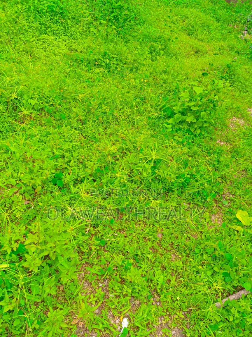 1.76hectares School Land at Kaura