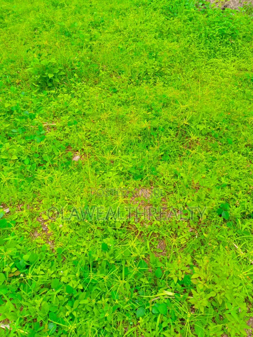 1.76hectares School Land at Kaura