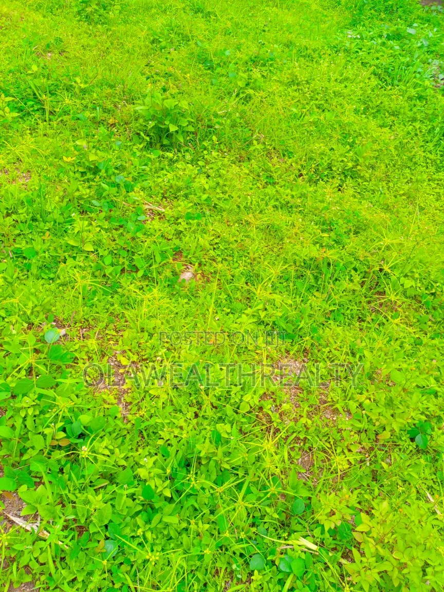 710sqm Residential Land At Oluyole