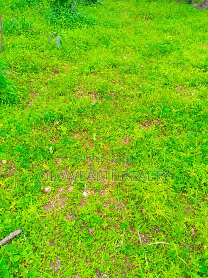 2,225sqm Private Housing Land at Jahi Gilmore