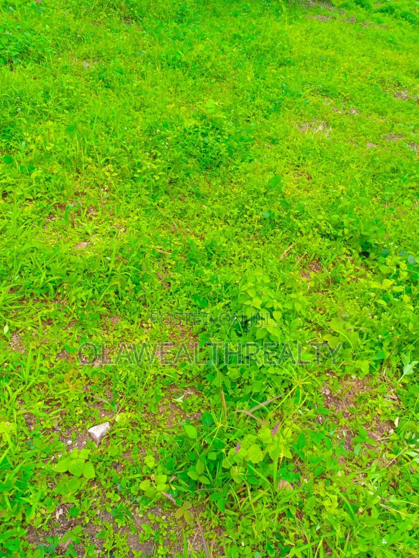 2,225sqm Private Housing Land at Jahi Gilmore