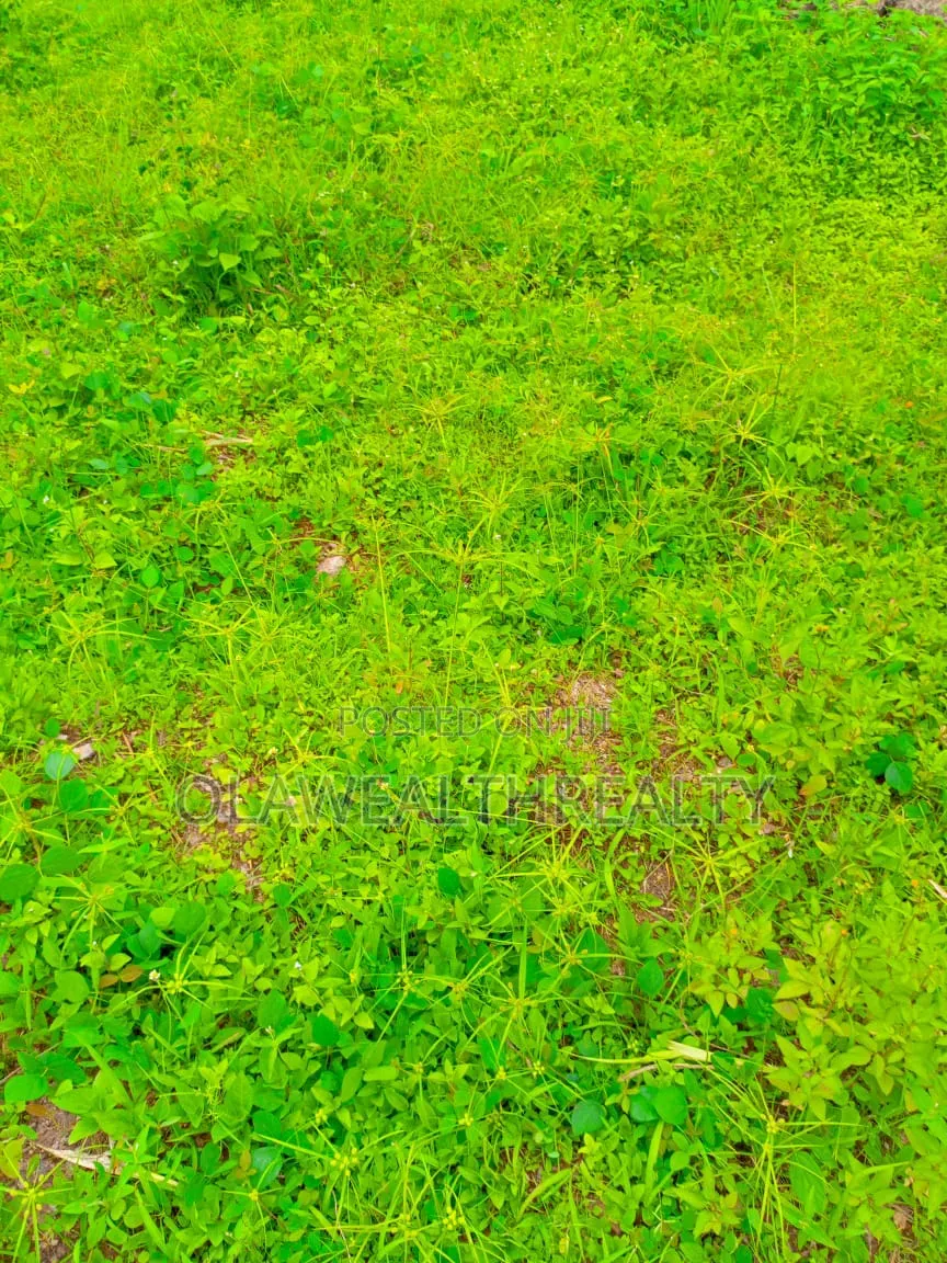 1,300sqm Residential Land at Kolapo Ishola Gra