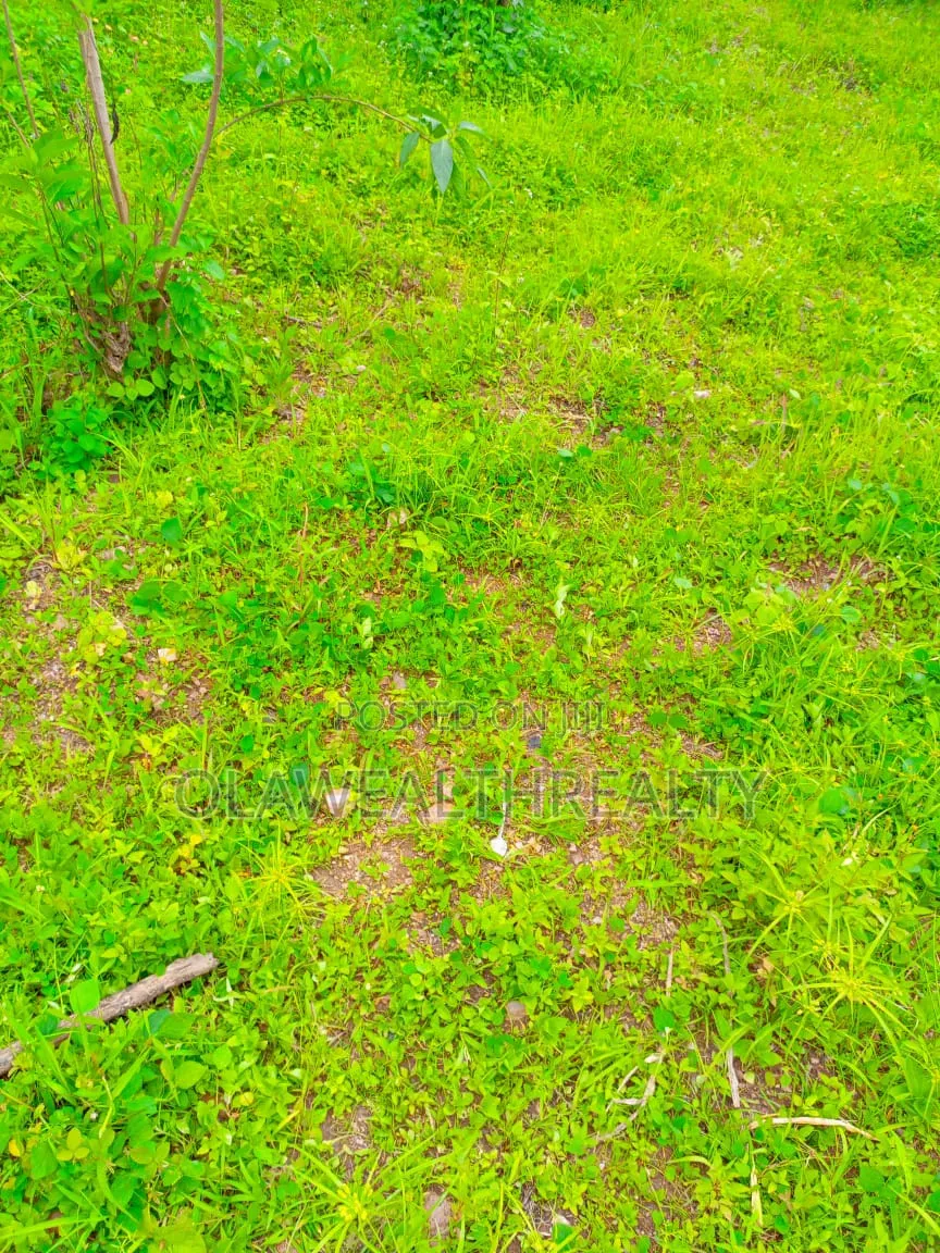 1,300sqm Residential Land at Kolapo Ishola Gra