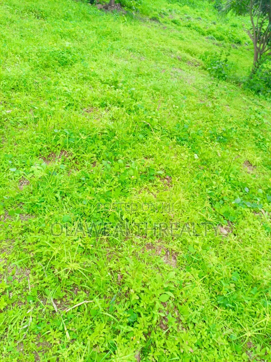 7,000sqm Mixed-Use Development Land at Wasa