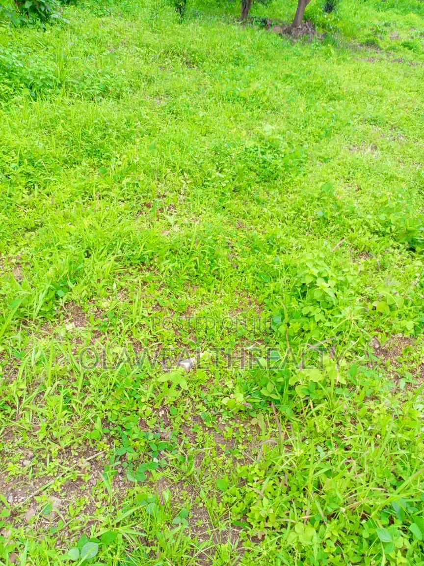 5 Hectares Garden Land at Gudu