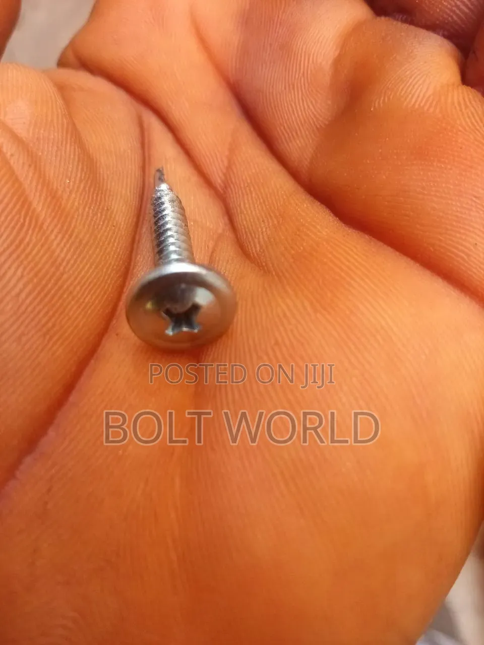 Self Drilling Screw4. 2x50mm