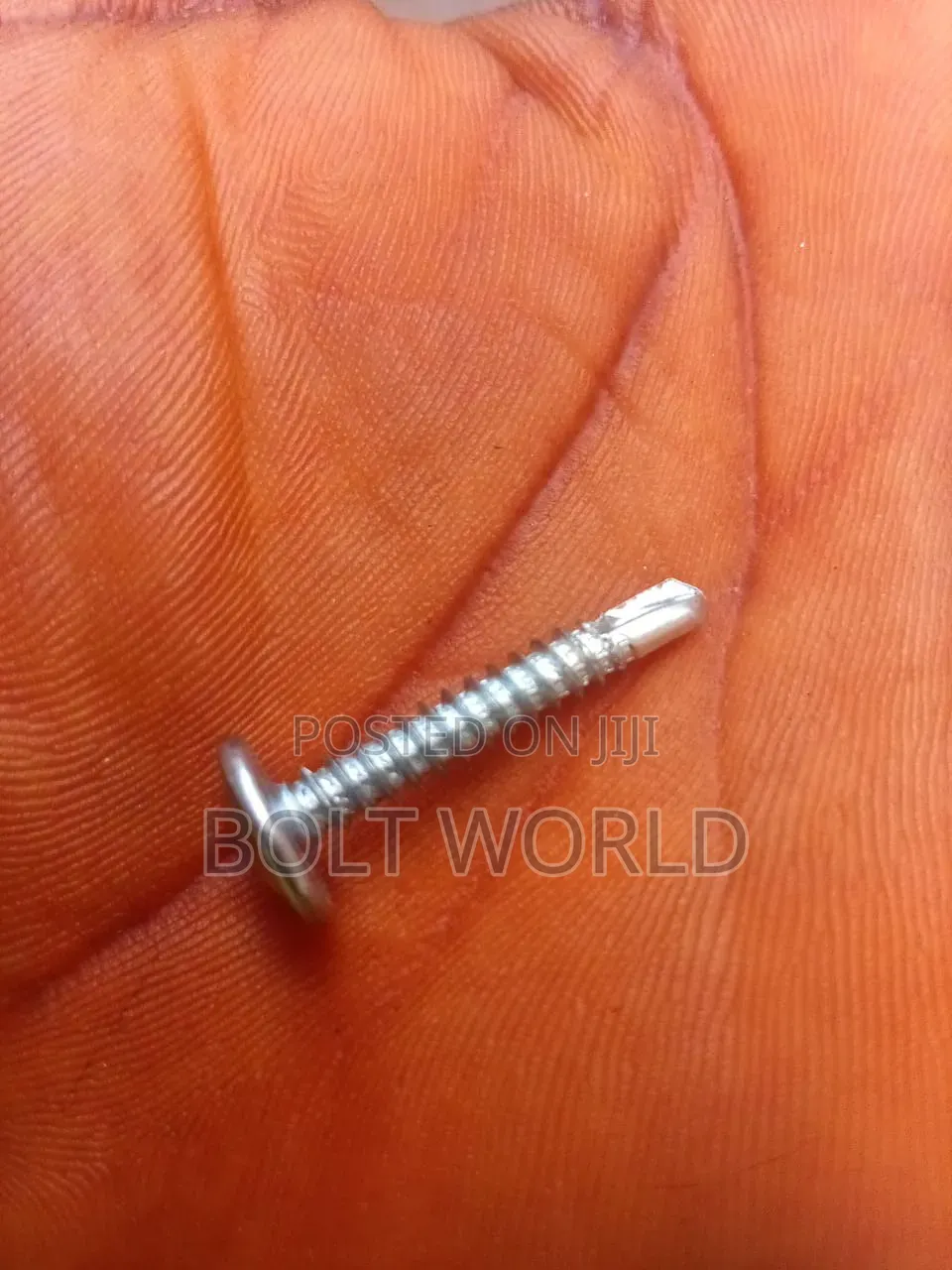 Self Drilling Screw4. 2x50mm