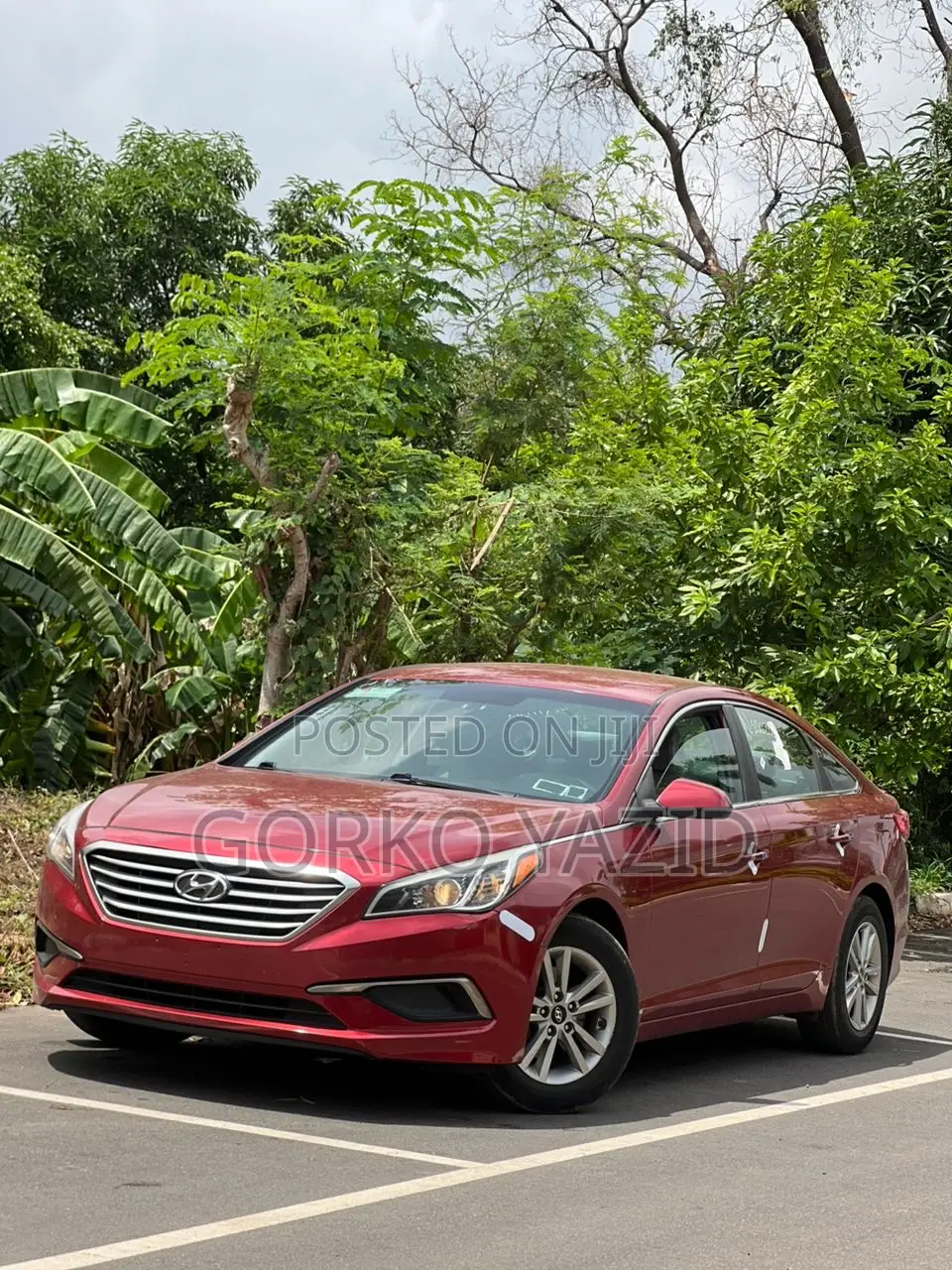 Hyundai Sonata Eco 4dr Sedan (1.6L 4cyl Turbo 7AM) 2015 Red