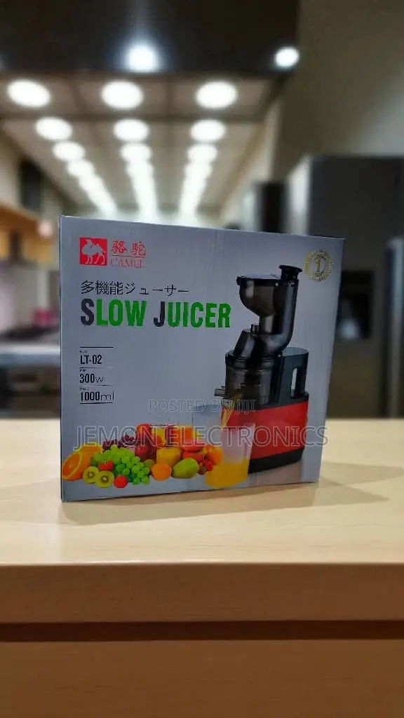 300w Slow Juicer Machine – Low Noise Fruit Vegetable Extractor 100ml