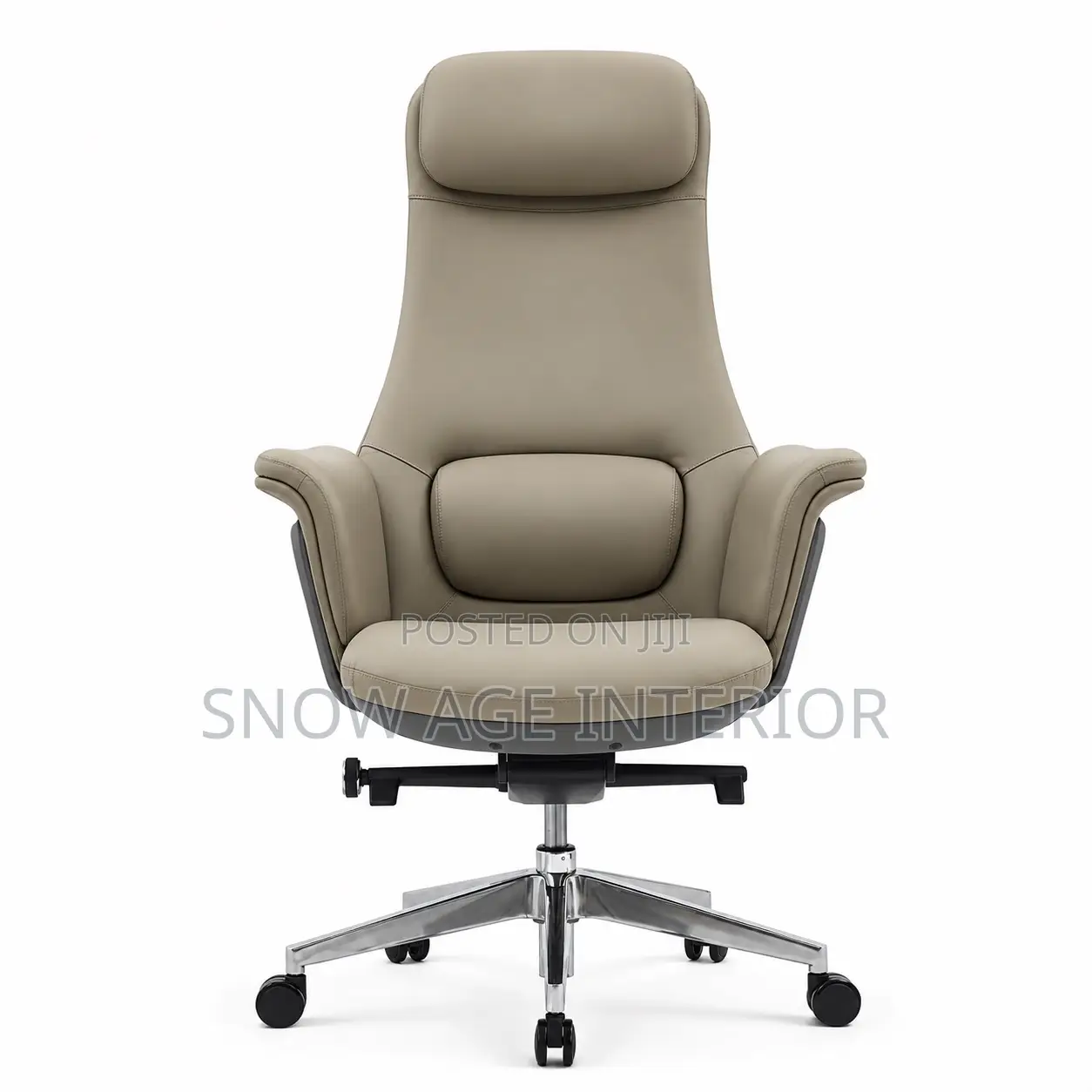 Executive Leather Chair With Lumbar Support (Sai O1)
