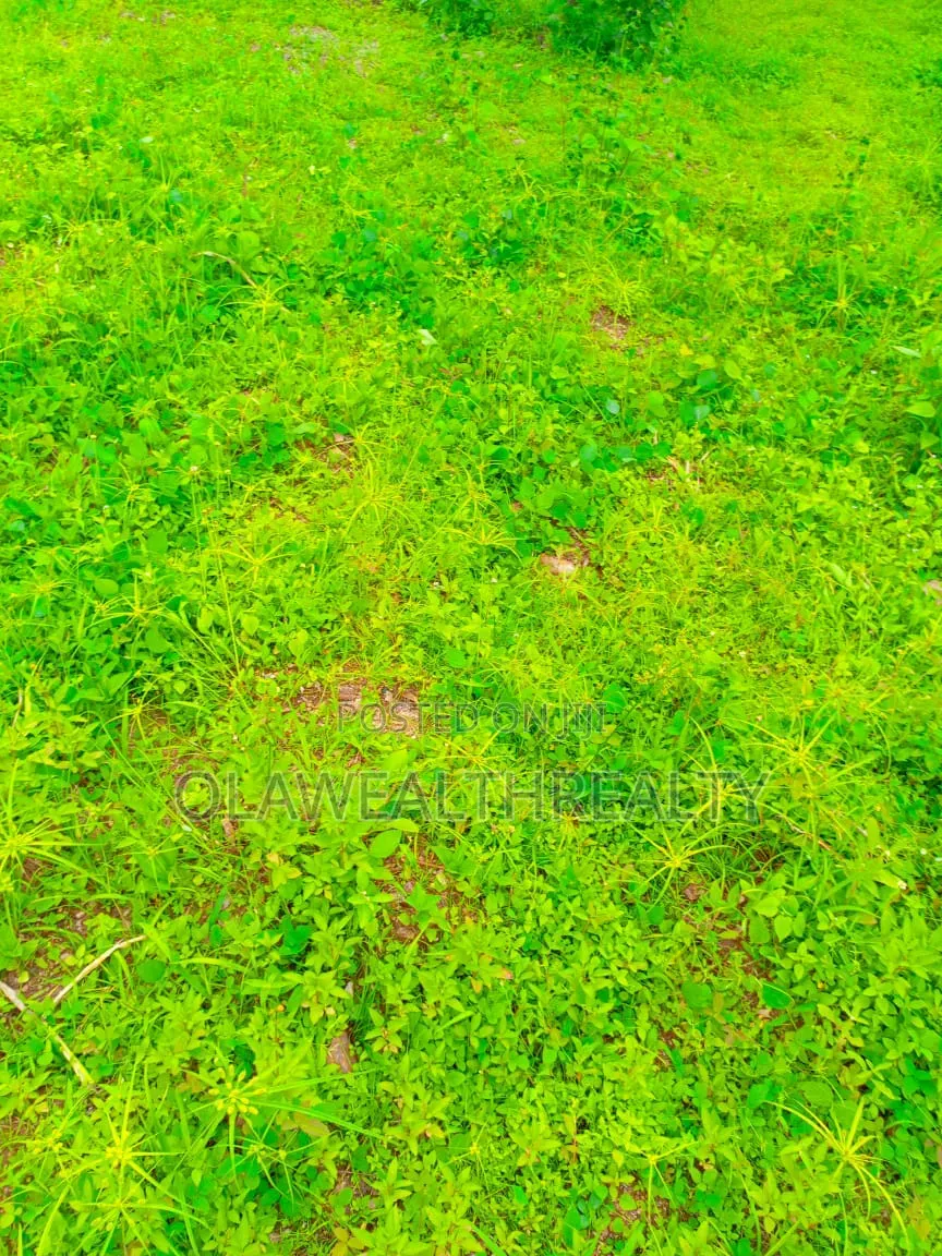 1,862sqm Residential Plot At Jabi