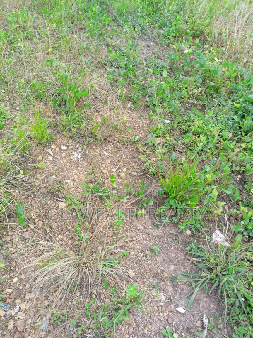 A Plot of Land at Orchid Road, Lekki