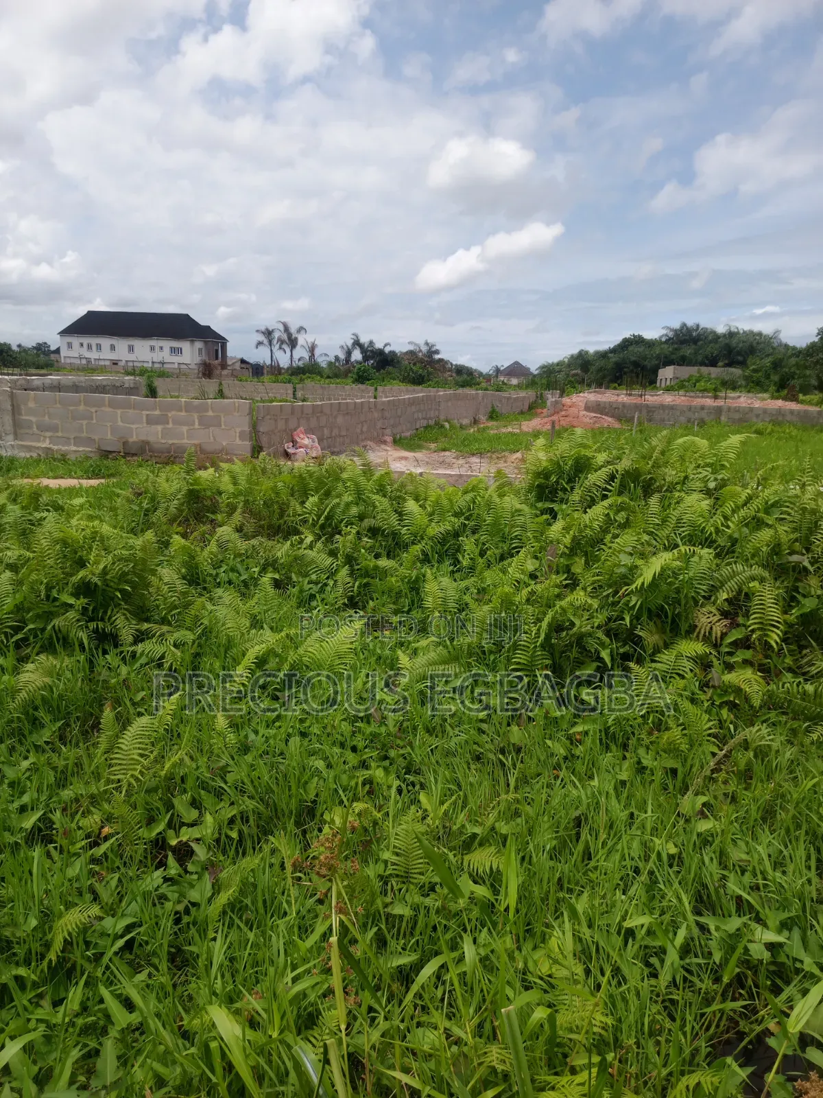 Affordable Land at Ijedodo,6 Mins Drive From Jackande Estate Isolo