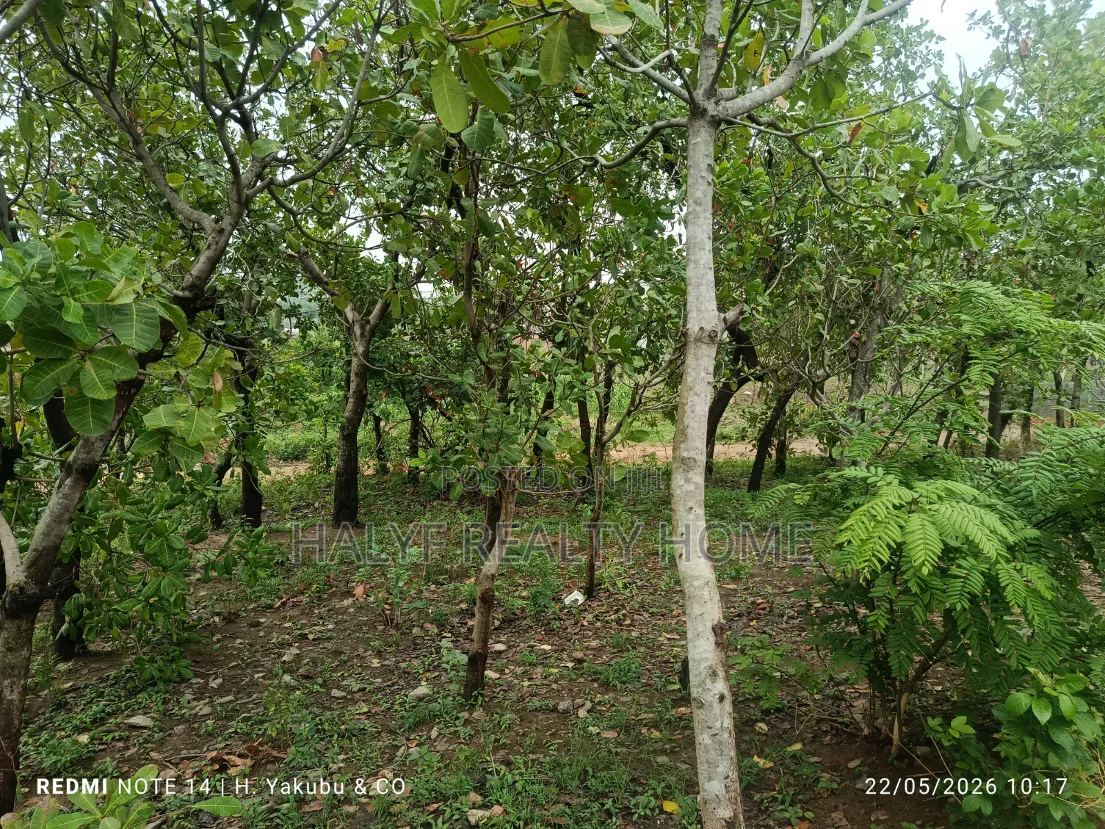 Plot of Land
