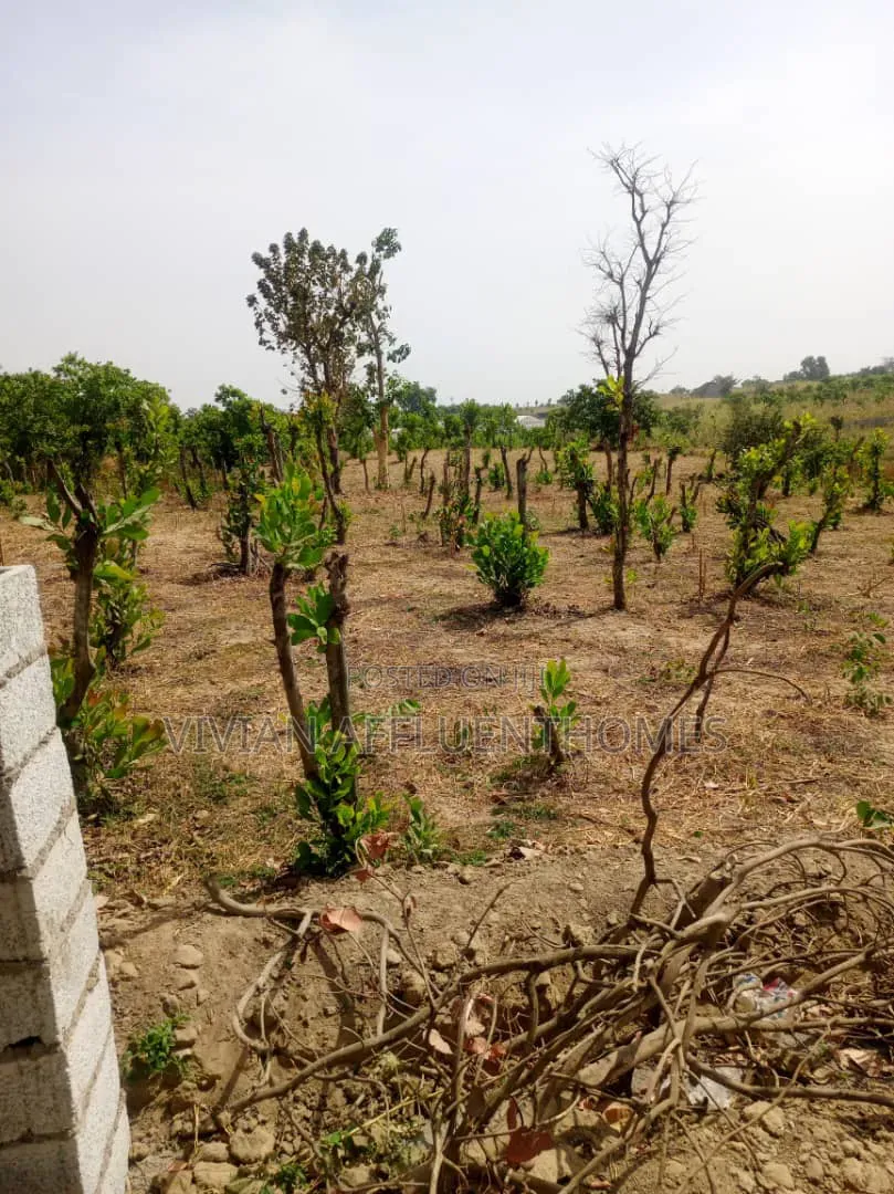 500sqm of Estate Plot:4bedrm Fully Detached Penthouse+Bq-Fcda Approved