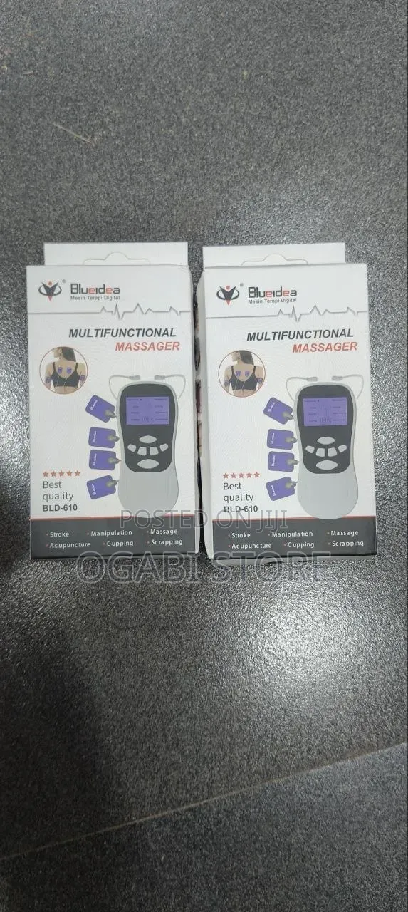 Multifunctional Digital Massager (Bld-610)
