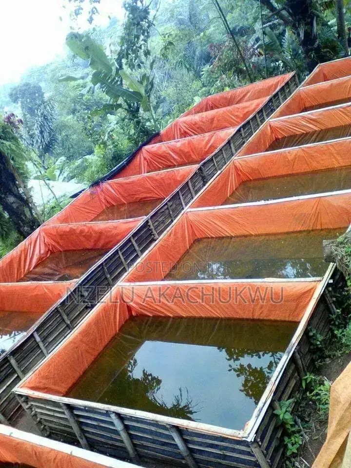 Fish Pond Tarpaulin - Strong Waterproof Pond Liner