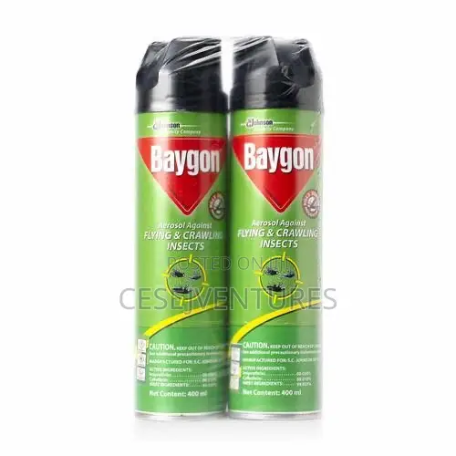 Baygon Crawling and Flying Insect Killer 300ml