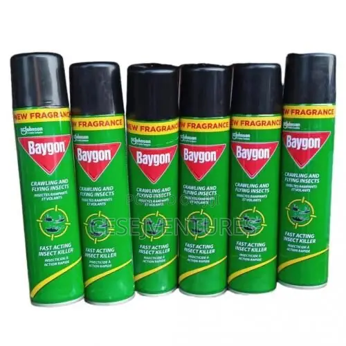 Baygon Crawling and Flying Insect Killer 300ml