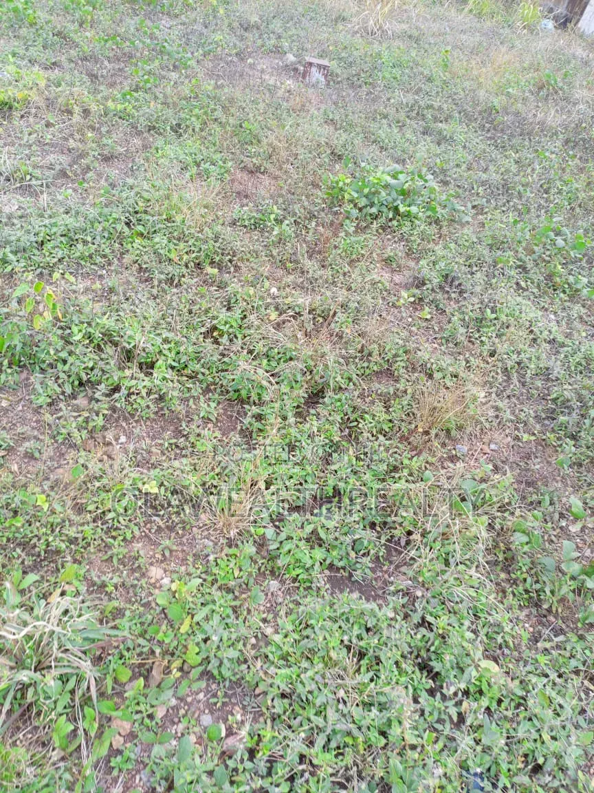 893sqm Residential Land at Apo Dutse