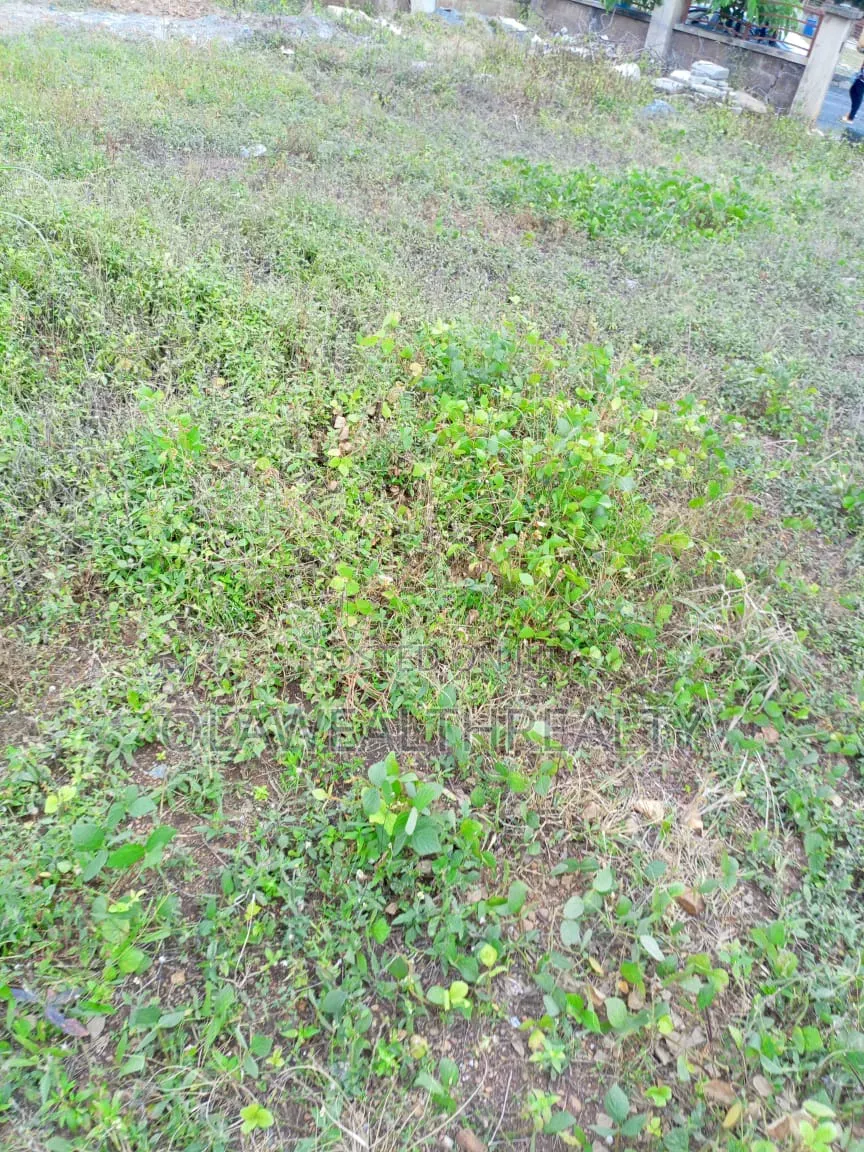2,104sqm Residential Plot at Jahi