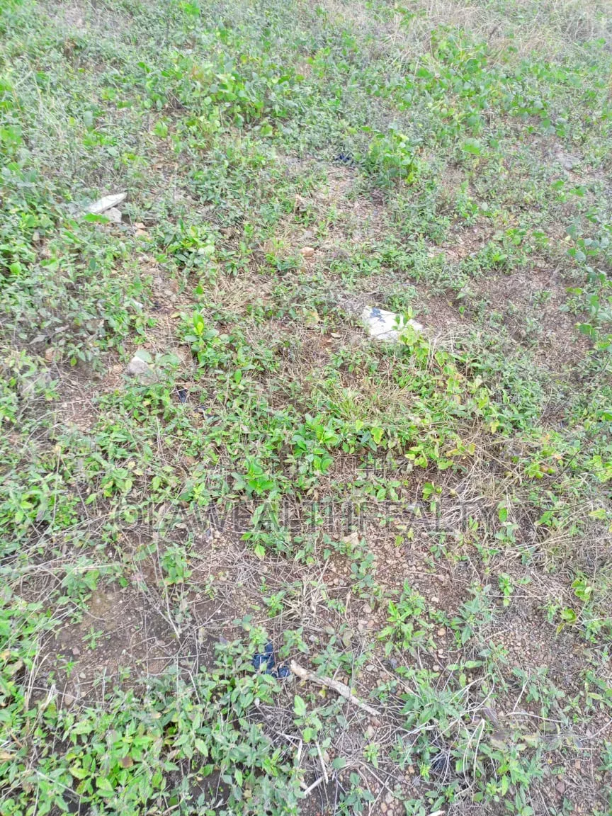 2,104sqm Residential Plot at Jahi