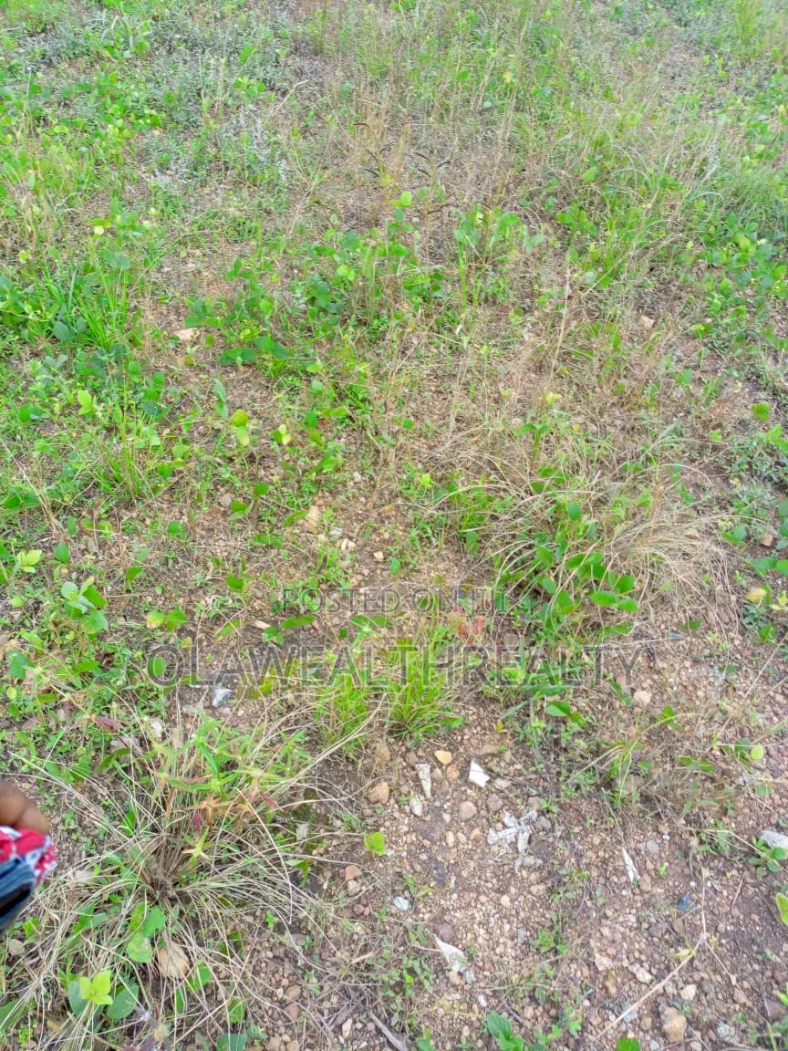 6.21 Hectares Residential Land at Wasa, Apo