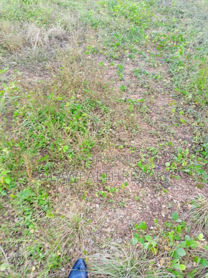 8,289sqm Residential Plot at Dakibiyu