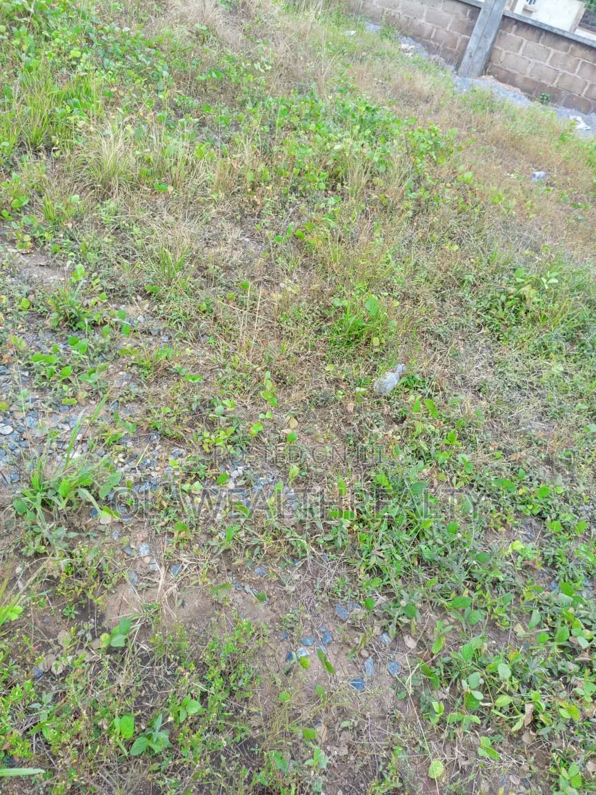 8,289sqm Residential Plot at Dakibiyu