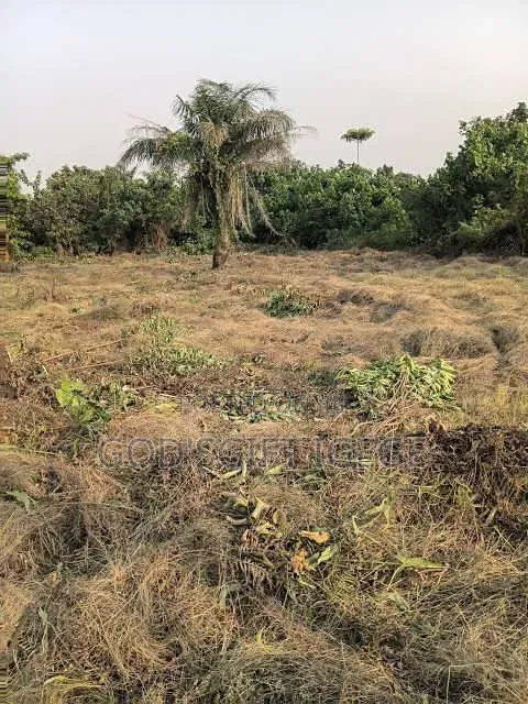 Buy & Build Land In Fast Developing Location In Obrikwere