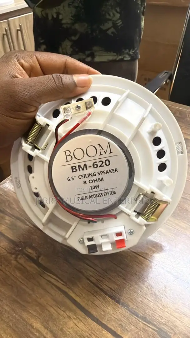 Boom 10w Passive Ceiling Speakers