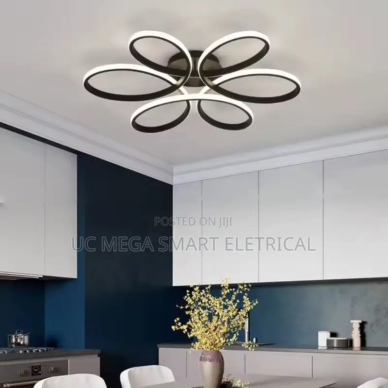 Modern Led Ceiling Lamp for Living Dining Room Bedroom Aisle Corridor