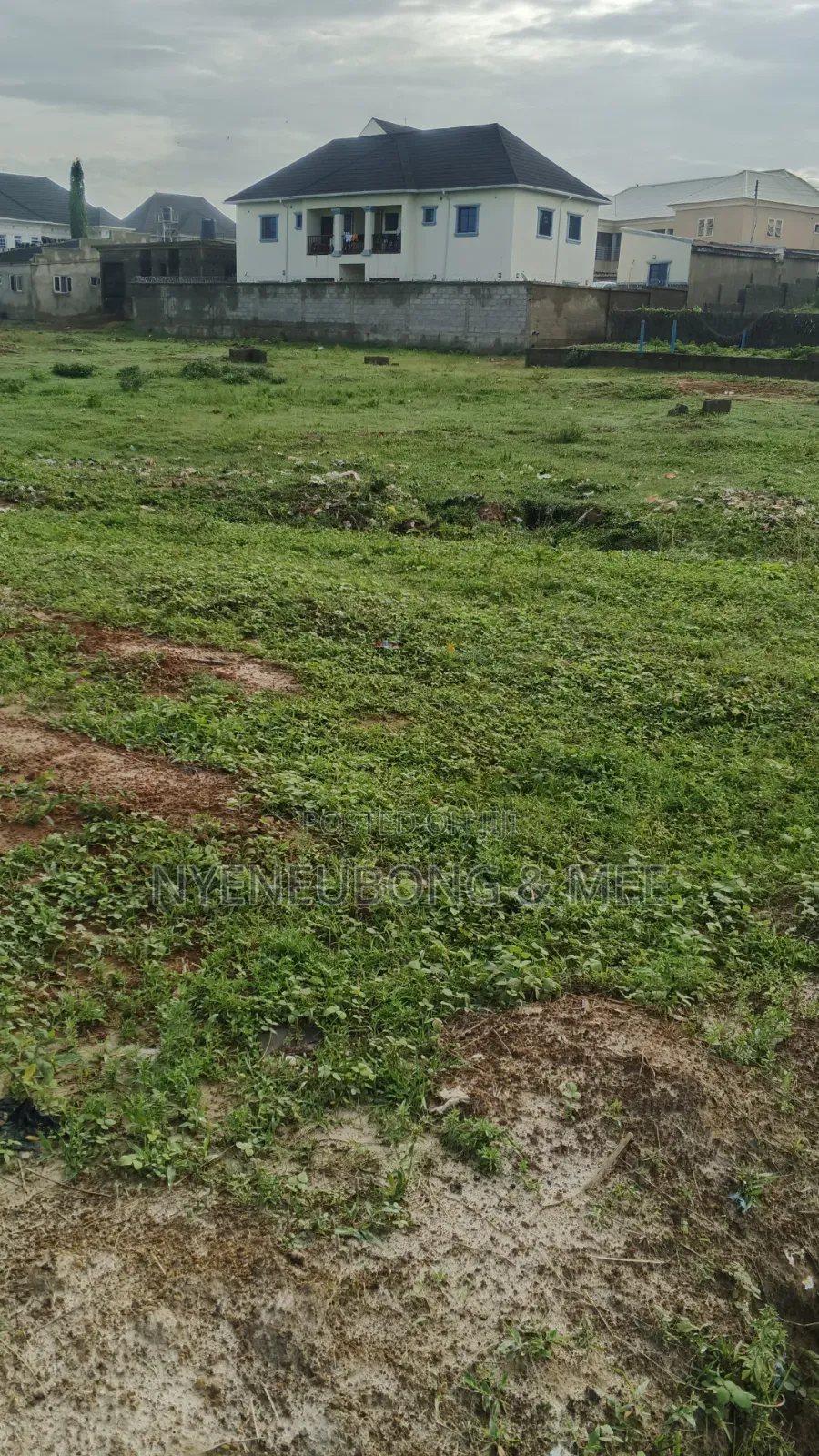 Virgin Land for Sale