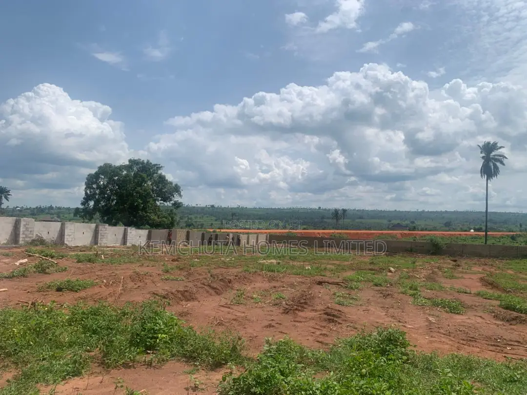 Mostaffordable Selling Estate in Okpanam Asaba