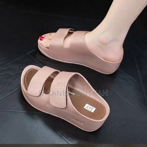 Quality Ladies/Women Palm Available