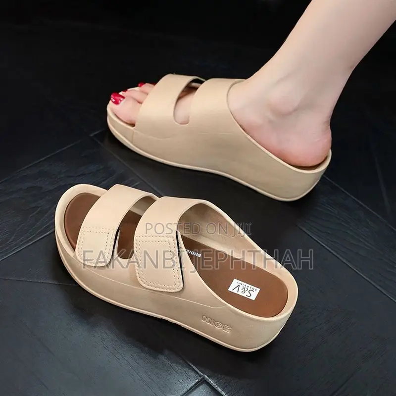 Quality Ladies/Women Palm Available