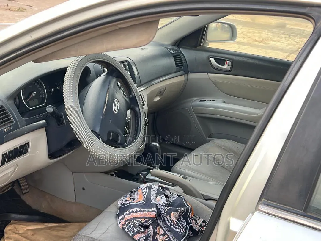Hyundai Sonata 3.3 Limited V6 2009 Silver